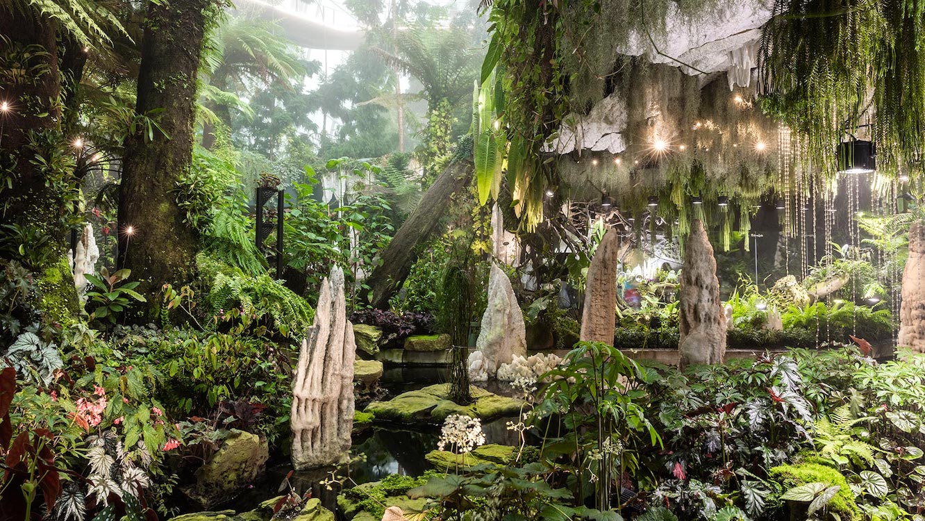 Top Places in Singapore