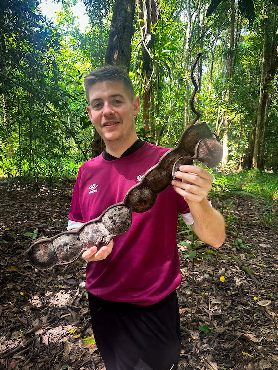 Kinabatangan River Tour
