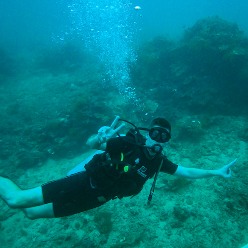 Diving What to do in Kota Kinabalu