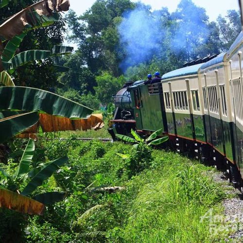north-borneo-railway-tour-sabah What to do in Kota Kinabalu